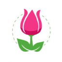 floristeriacollette.com
