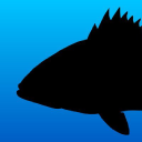 fishrulesapp.com