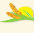 westernricemills.com