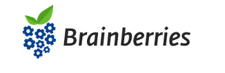 brainberries.co