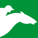 hipodromoa.com