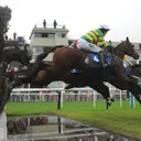 ludlowracecourse.co.uk