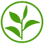 health-advise.com