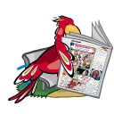 periodicoelgancho.com