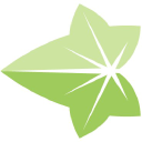 ivysinc.com