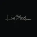 lizsteel.com