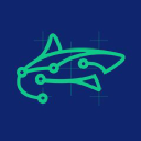 stock-shark.com