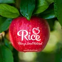 ricefruit.com