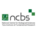 ncbs.res.in