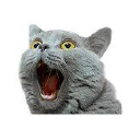 jewelry-channel.com