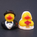 weddingsonawhim.com
