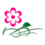 floristaisilda.pt