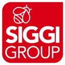 siggigroup.it