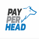 payper-head.com