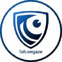 falcongaze.com