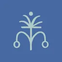 mangotreetravel.com