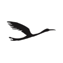 mikoto-jewelry.com