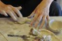 claymotion.com.au