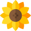 floristeriadracena.es