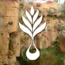 rain-forest-flora.com