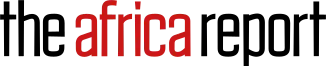 theafricareport.com
