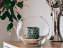 sigma-glass.pl