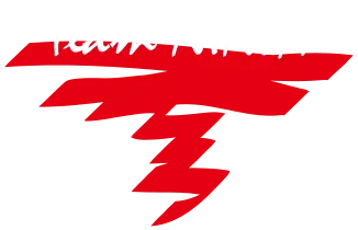 teamninja-studio.com
