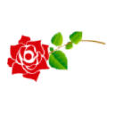 floristeriabellasflores.com