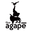 agape-resin.com