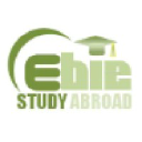 ebiz-consultancyservices.com