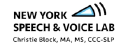 speechvoicelab.com