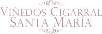 cigarralsantamaria.com