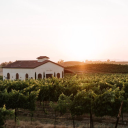 danzadelsolwinery.com