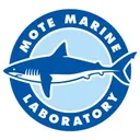 mote.org