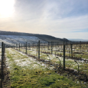 littlewoldvineyard.co.uk