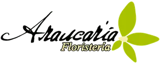 floristeriaaraucaria.com