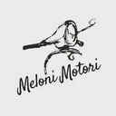 melonimotori.it