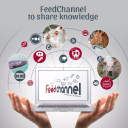 feedchannel.online
