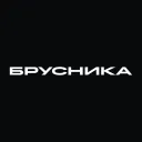 brusnika.ru