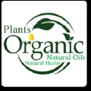 organiceg.com