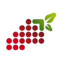 winedexer.com