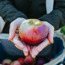 community-harvest.org