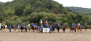 horsemens.org