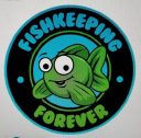 fishkeepingforever.com