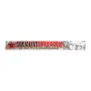 socialistorganizer.org
