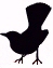 jailguide.com