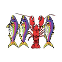 scalesandshells.com