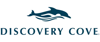 discoverycove.com