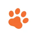 animal-rit.fr