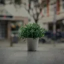 shuncy.com